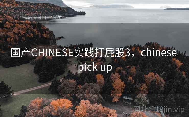 国产CHINESE实践打屁股3，chinese pick up
